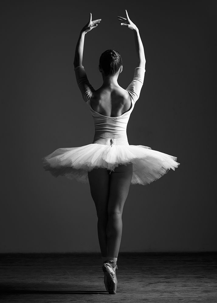 Pirouette art print by Design Fabrikken for $57.95 CAD