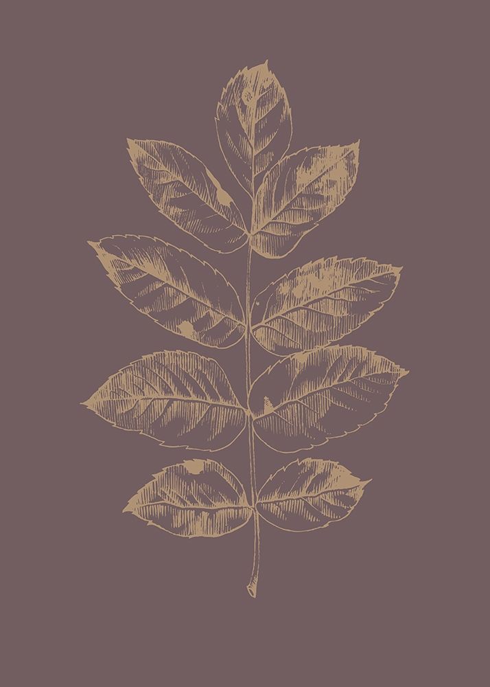 Botanica 2 art print by Design Fabrikken for $57.95 CAD