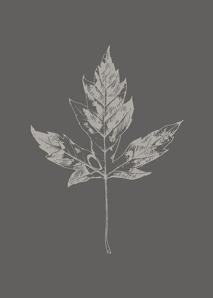 Botanica 5 art print by Design Fabrikken for $57.95 CAD