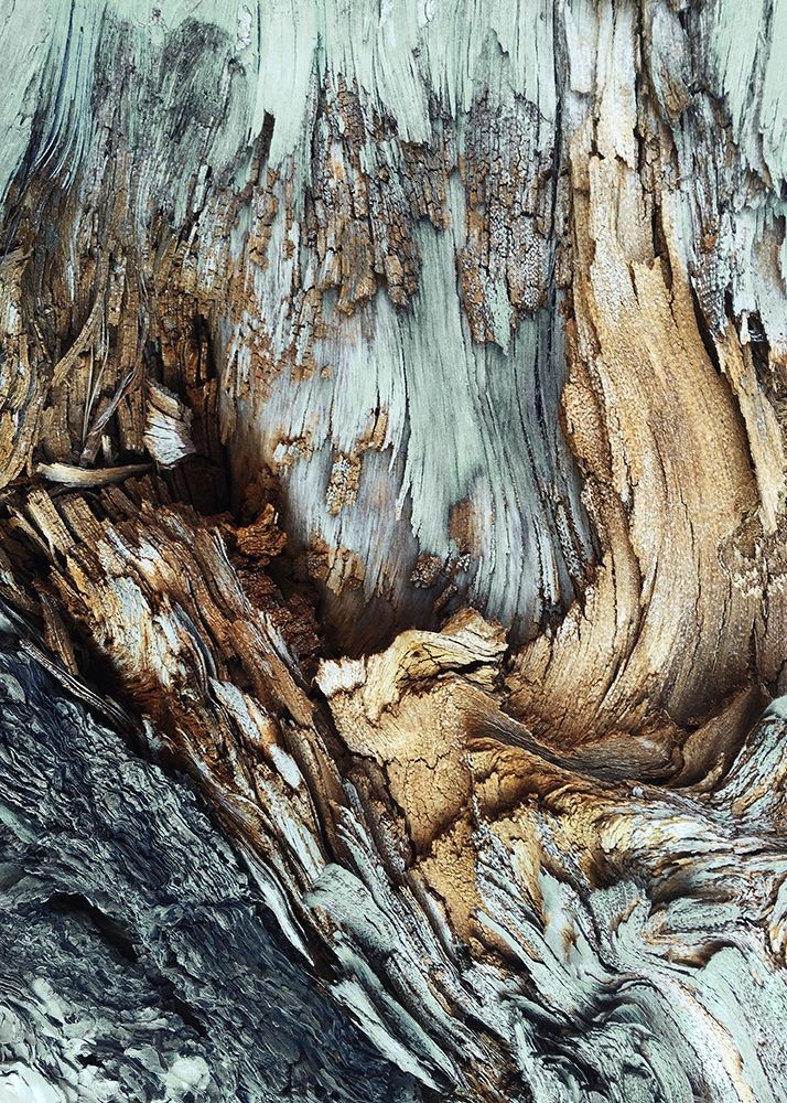 Wooden art print by Design Fabrikken for $57.95 CAD