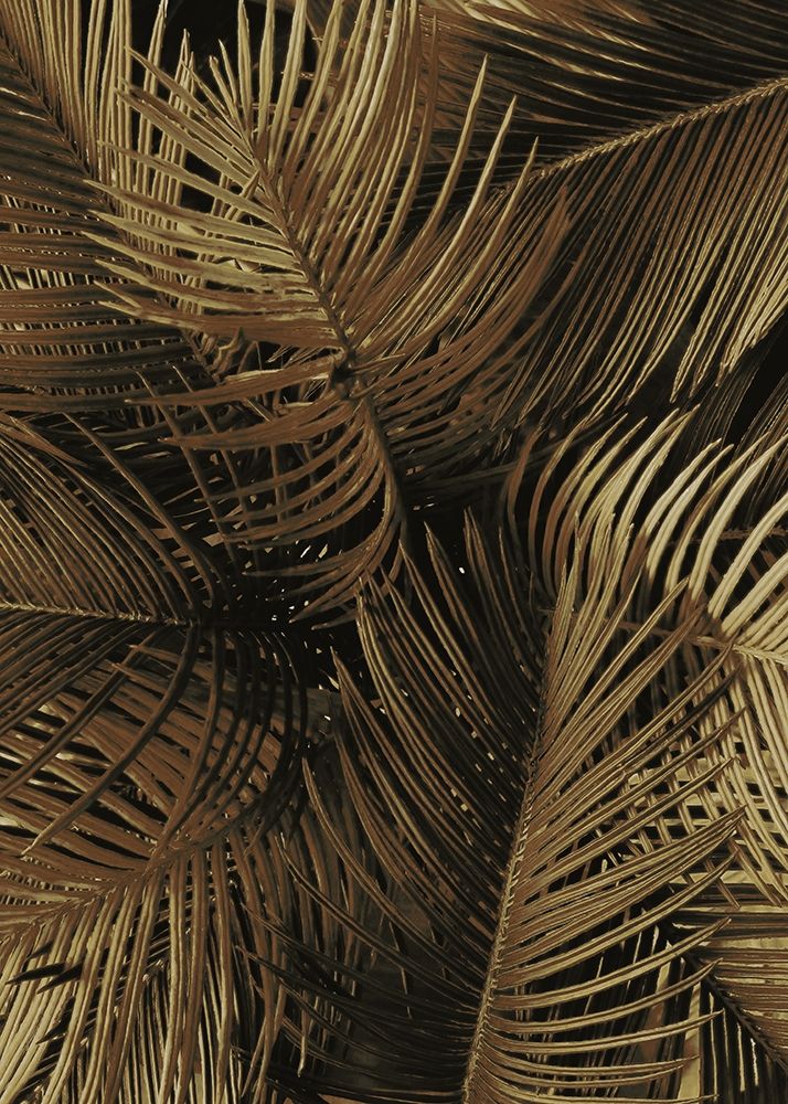 Golden Palm 2 art print by Design Fabrikken for $57.95 CAD