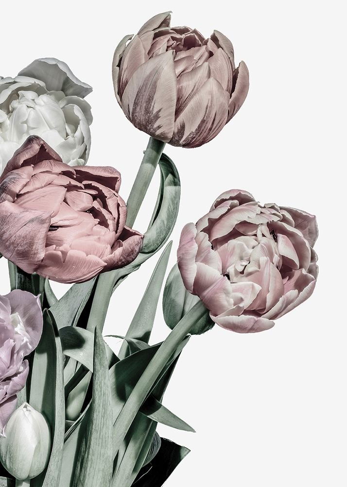Tulips Bright art print by Design Fabrikken for $57.95 CAD
