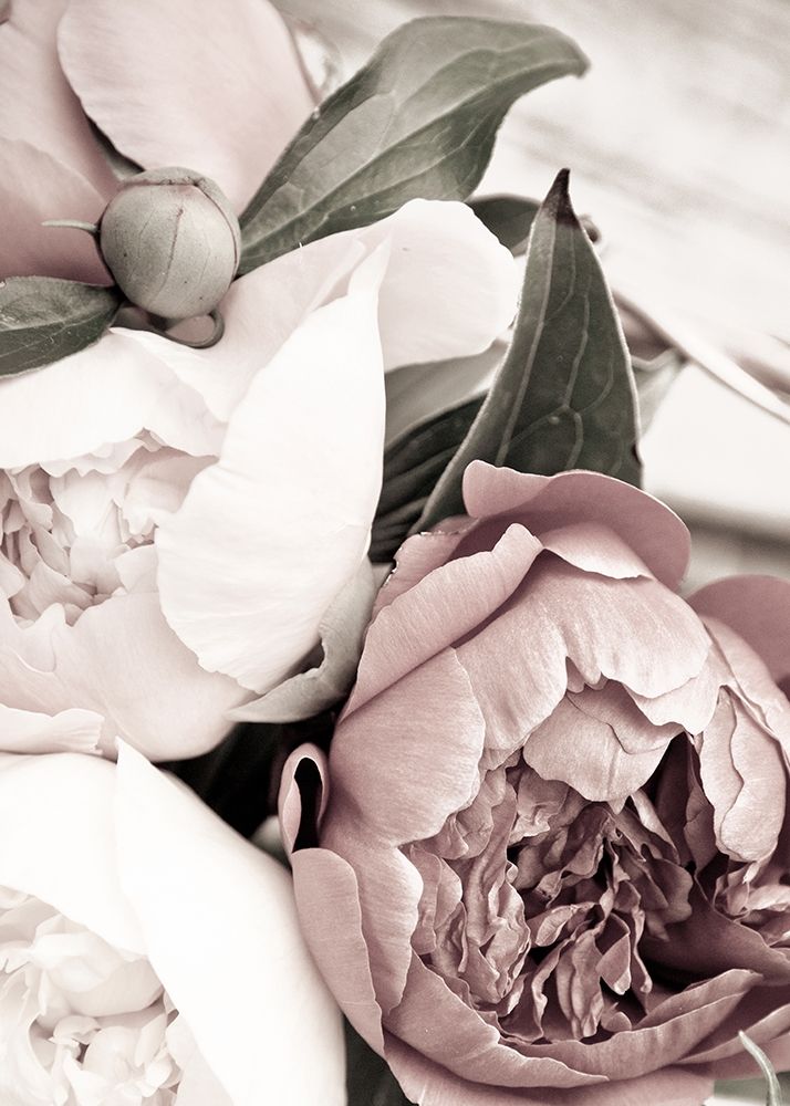 Opulent 1 art print by Design Fabrikken for $57.95 CAD