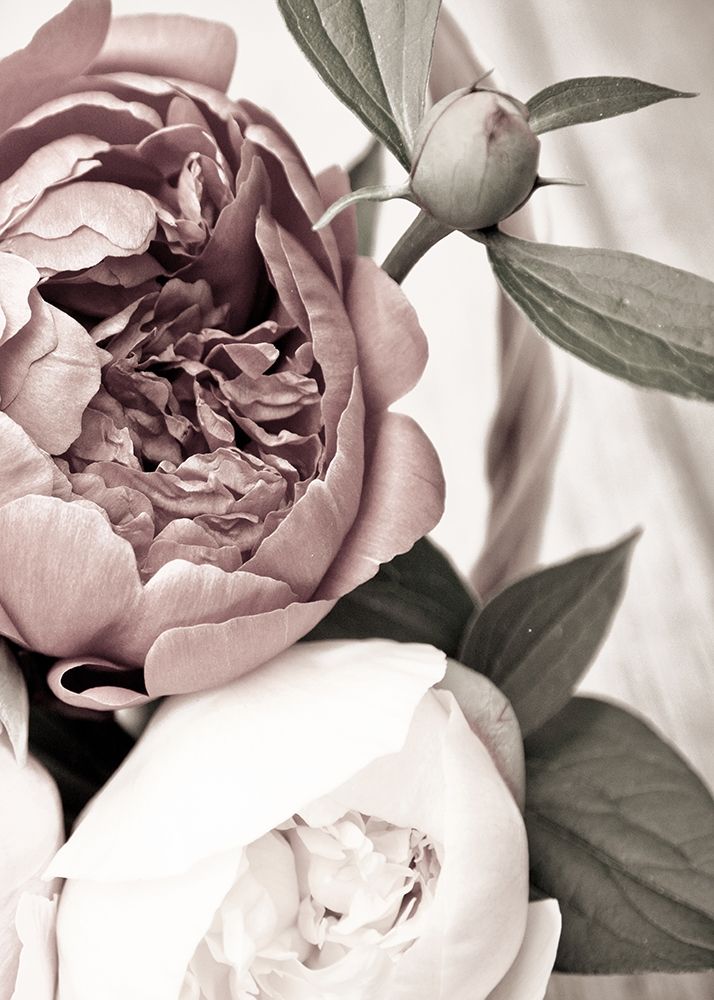 Opulent 2 art print by Design Fabrikken for $57.95 CAD