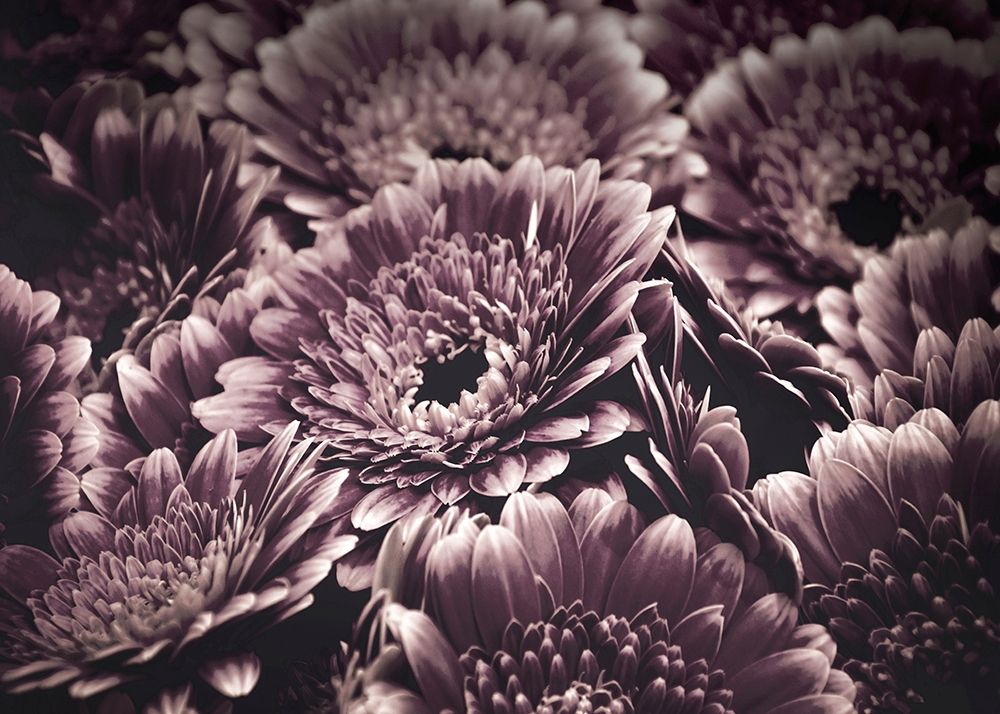 Opulent 4 art print by Design Fabrikken for $57.95 CAD