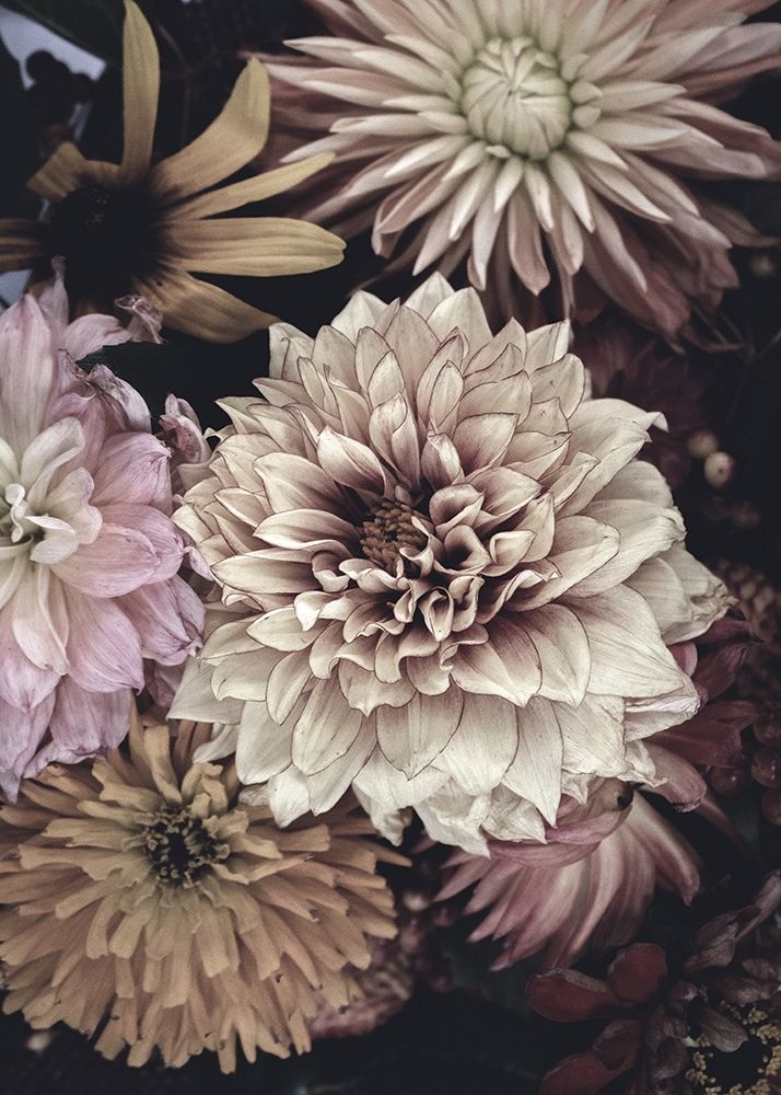 Opulent 5 art print by Design Fabrikken for $57.95 CAD