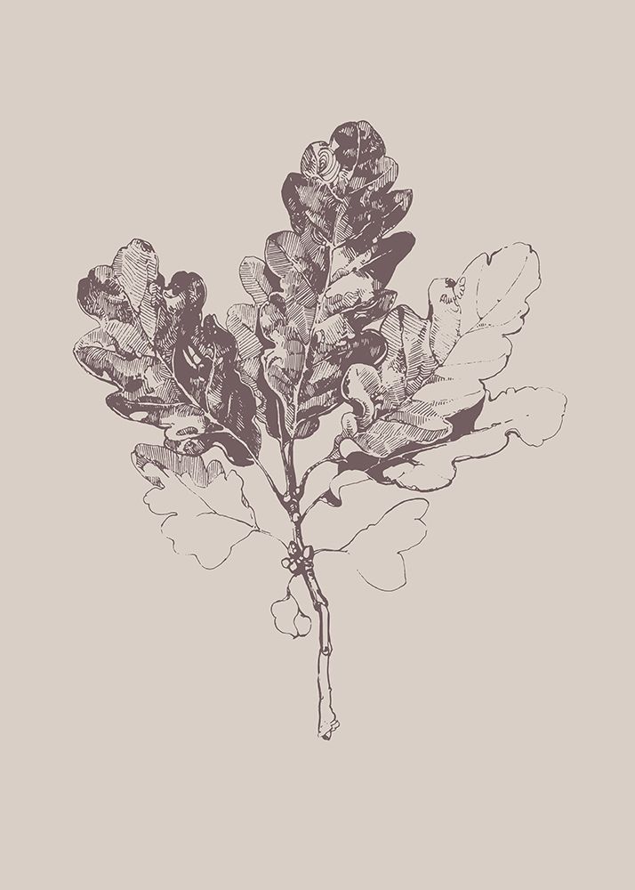 Botanica 3 art print by Design Fabrikken for $57.95 CAD