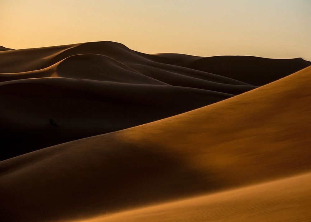 Desert 2 art print by Design Fabrikken for $57.95 CAD