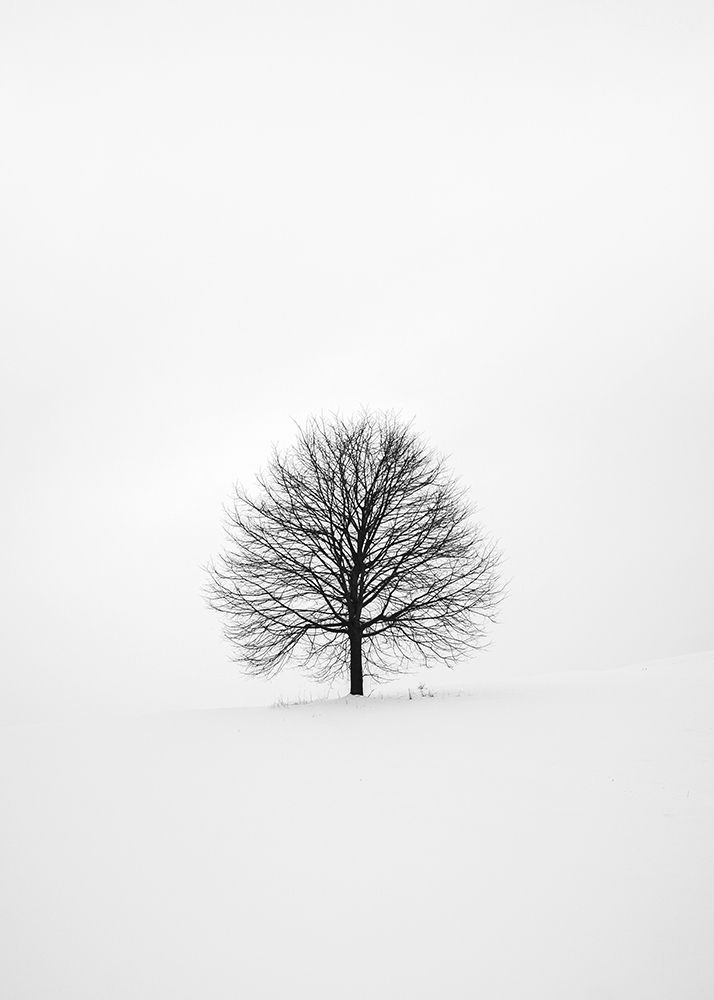 Solitary 1 art print by Design Fabrikken for $57.95 CAD