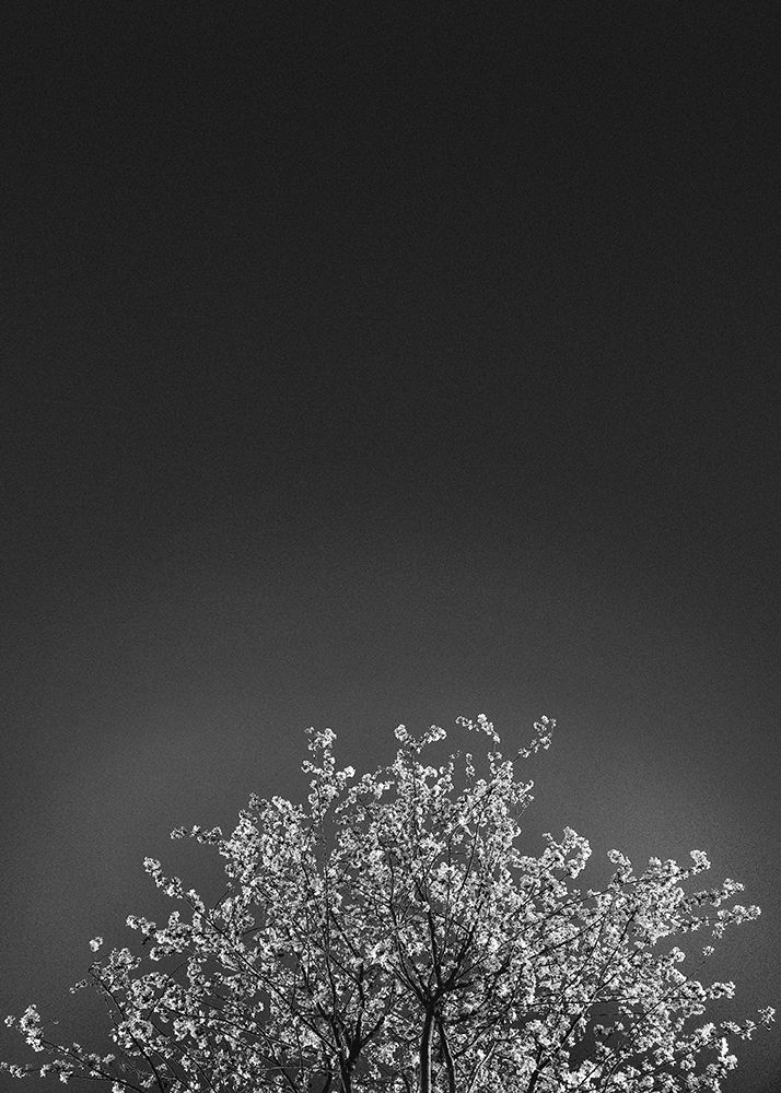 Twinkling Lights 1 art print by Design Fabrikken for $57.95 CAD