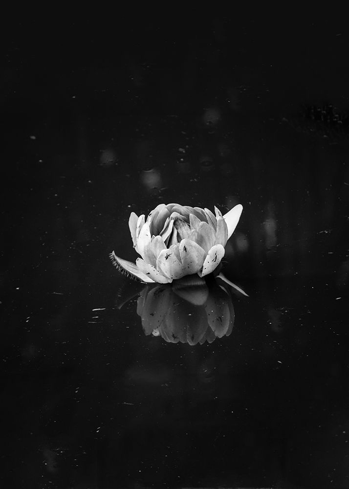Floating 2 art print by Design Fabrikken for $57.95 CAD