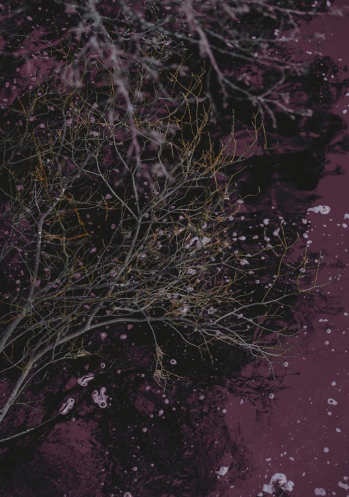 River of Wine art print by Design Fabrikken for $57.95 CAD