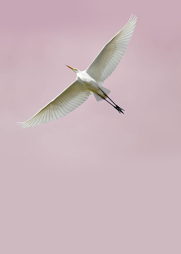 In the Sky 2 art print by Design Fabrikken for $57.95 CAD