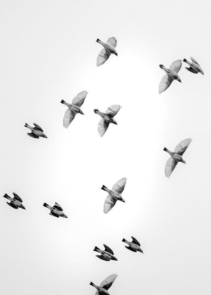 In the Sky 1 art print by Design Fabrikken for $57.95 CAD