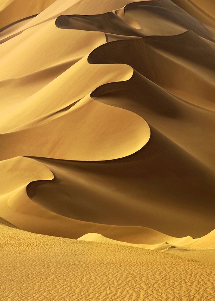 In the Dunes 2 art print by Design Fabrikken for $57.95 CAD