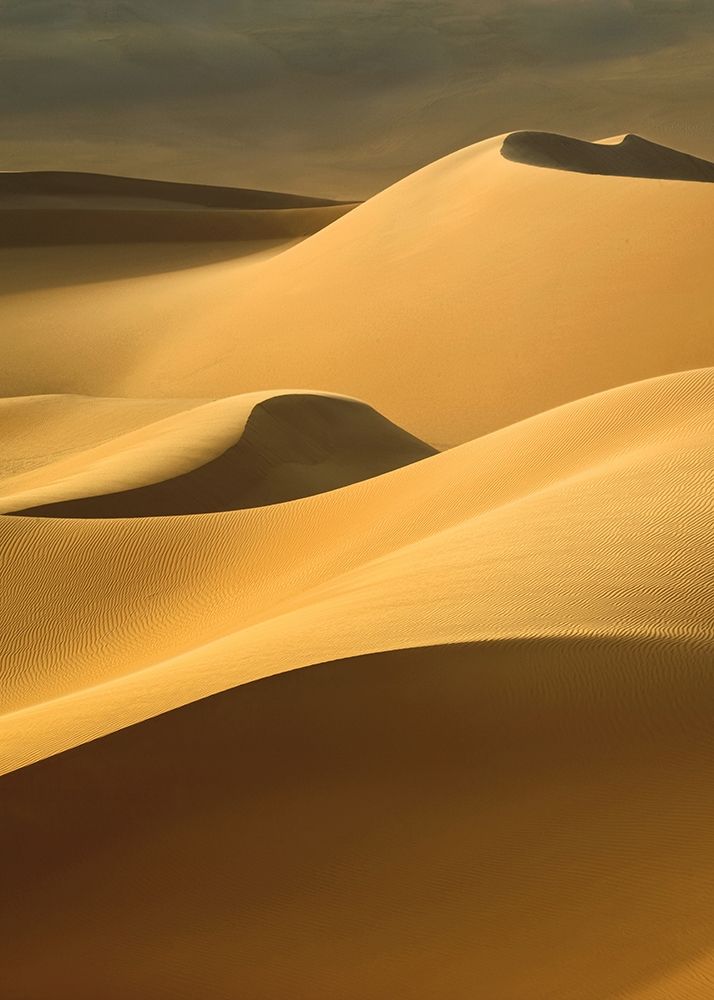 In the Dunes 3 art print by Design Fabrikken for $57.95 CAD