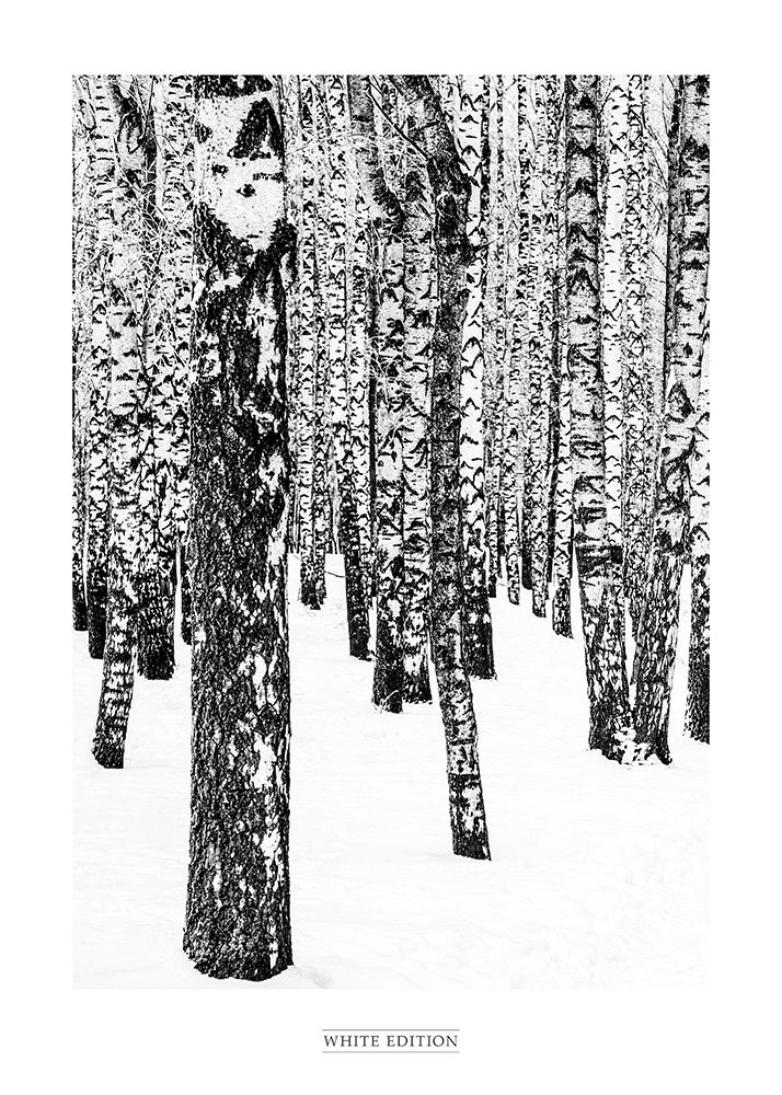 White Edition 1 art print by Design Fabrikken for $57.95 CAD