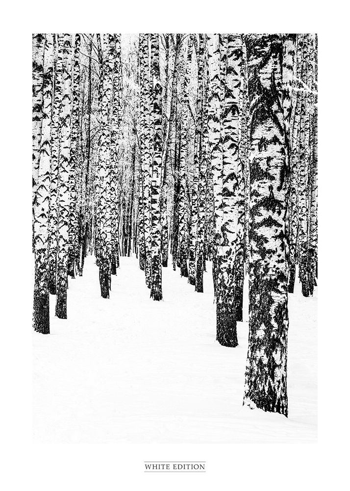 White Edition 2 art print by Design Fabrikken for $57.95 CAD