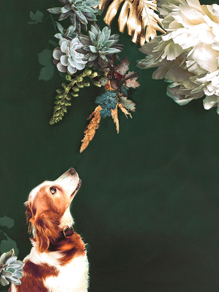 Pet Couture 1 art print by Design Fabrikken for $57.95 CAD