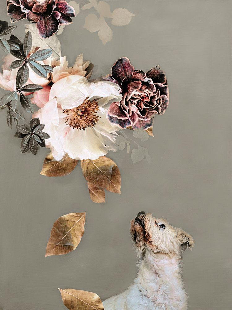 Pet Couture 2 art print by Design Fabrikken for $57.95 CAD
