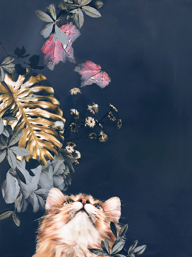 Pet Couture 3 art print by Design Fabrikken for $57.95 CAD