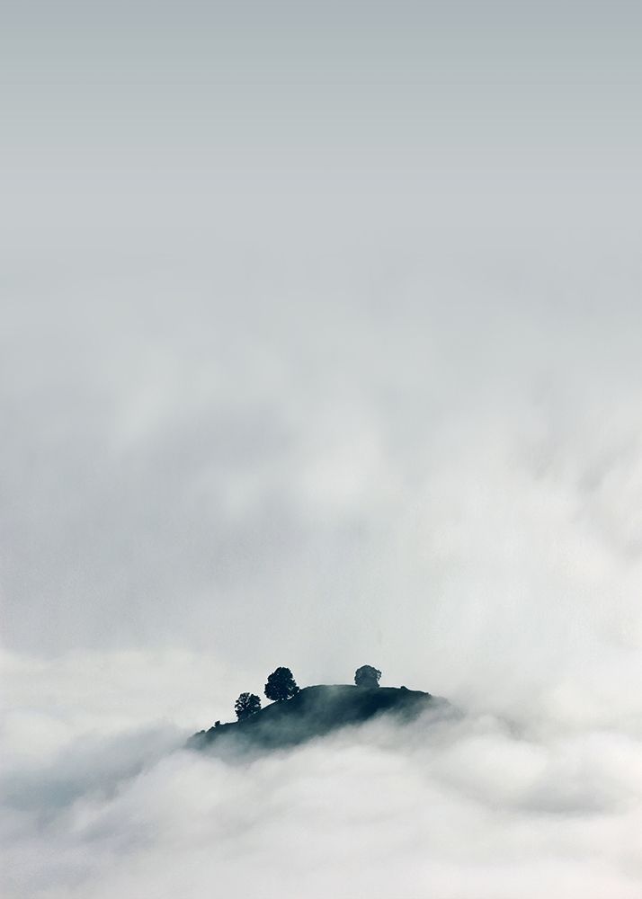 Lost in Mist art print by Design Fabrikken for $57.95 CAD