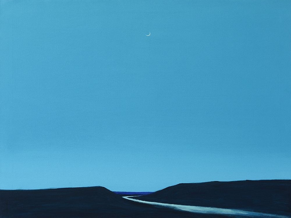 Night Calm art print by Igor Nekraha for $57.95 CAD