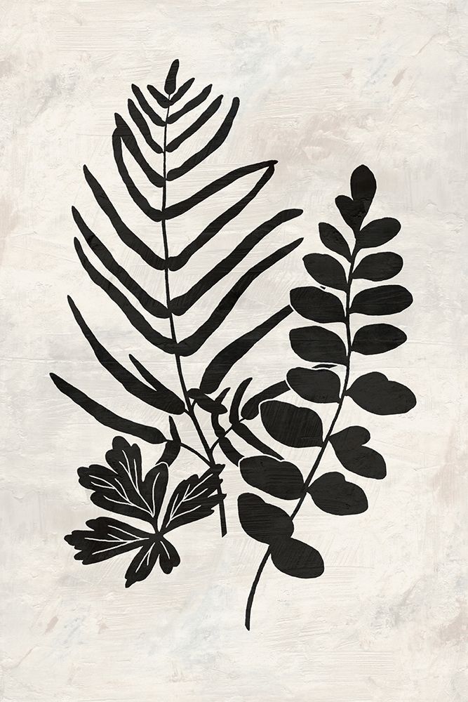 Botanica 1 art print by Suzanne Nicoll for $57.95 CAD