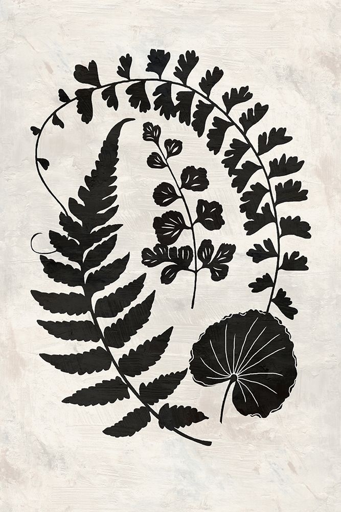 Botanica 2 art print by Suzanne Nicoll for $57.95 CAD