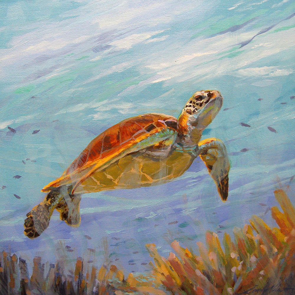 Seeking The Sun art print by Sandy Nelson for $57.95 CAD