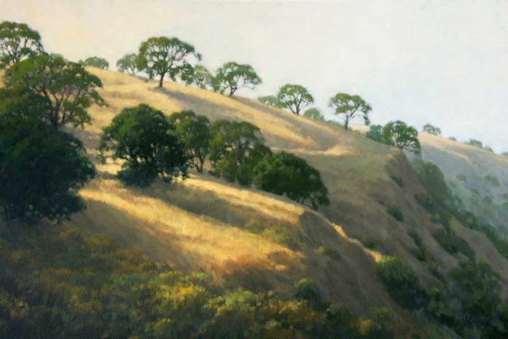 Afternoon Shadows art print by Kathy Oleary for $57.95 CAD