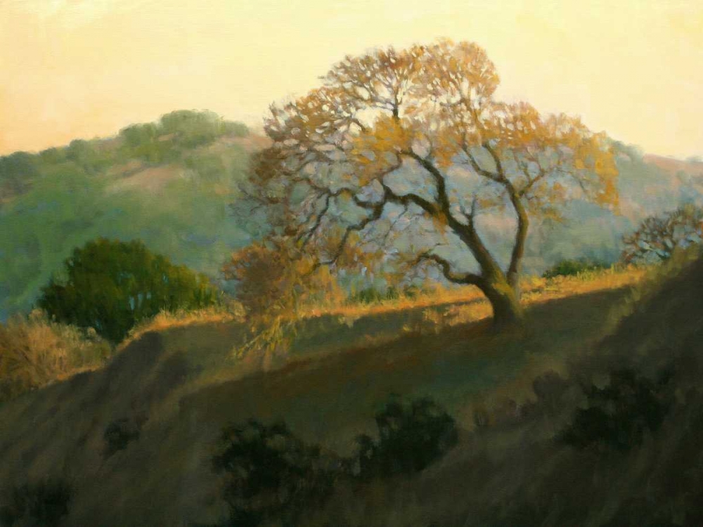 Buckeye Glow art print by Kathy OLeary for $57.95 CAD