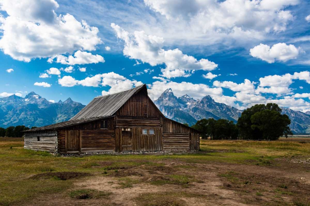 Grand Teton Barn I art print by Tim Oldford for $57.95 CAD