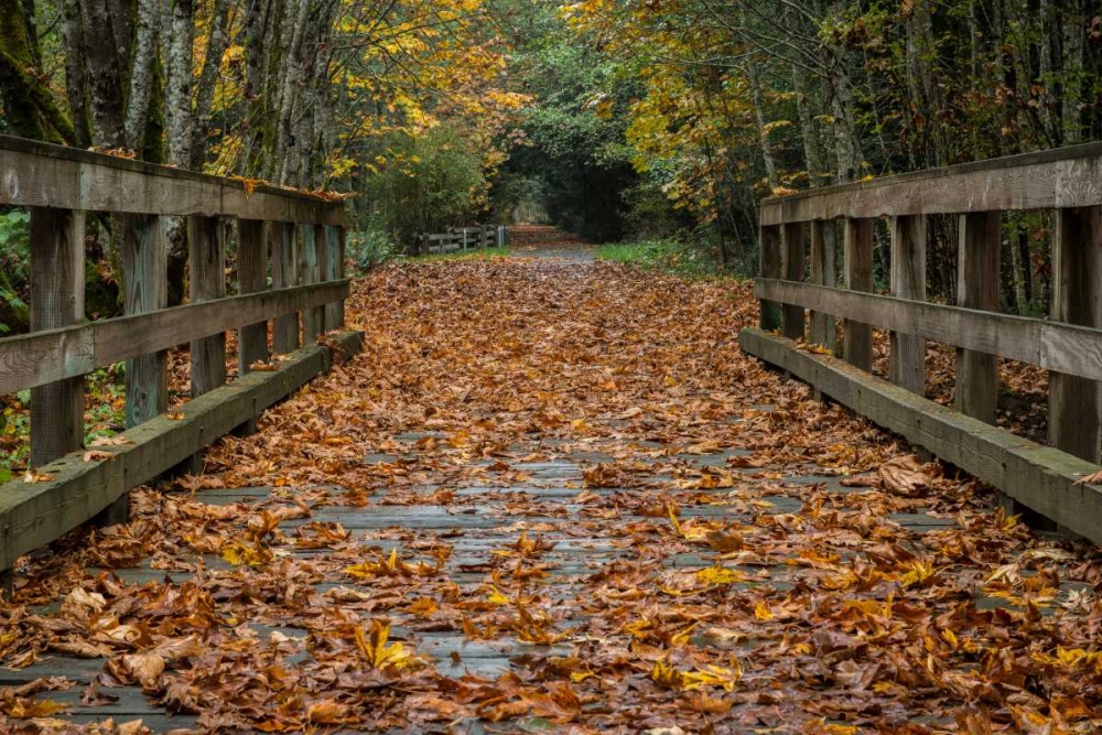 Fall on the Goose (Victoria) art print by Tim Oldford for $57.95 CAD