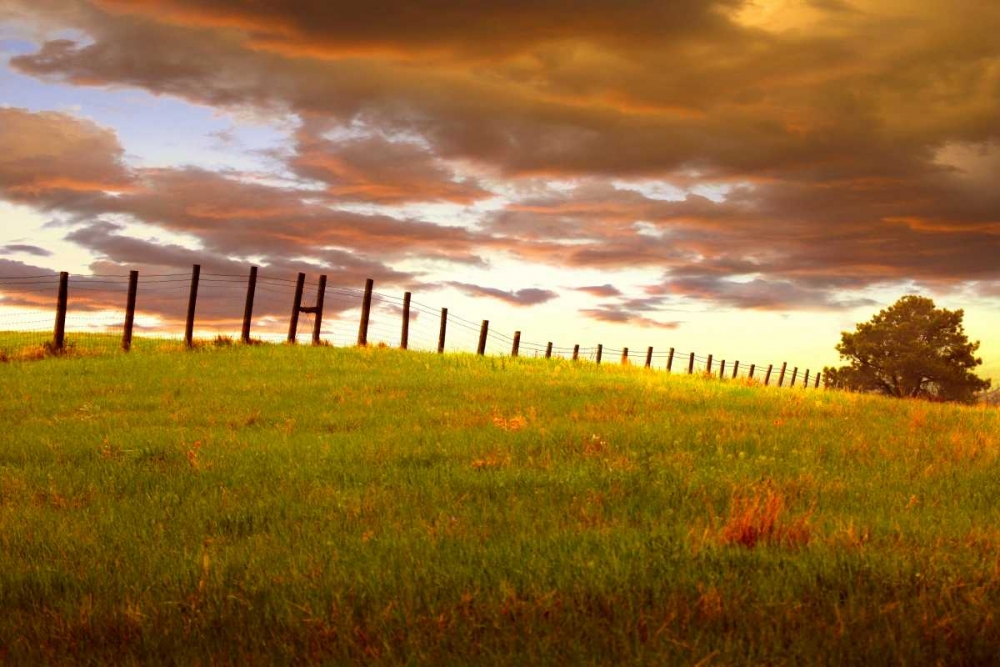 Fenceline, South Dakota art print by Dale ODell for $57.95 CAD