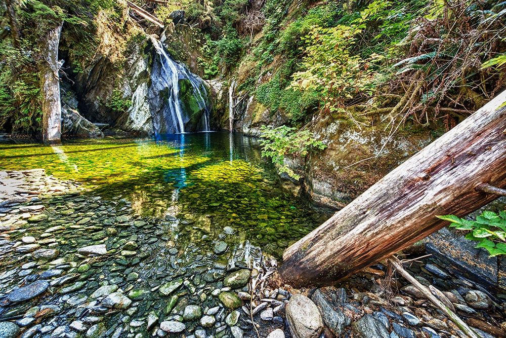 Falls Creek art print by Tim Oldford for $57.95 CAD
