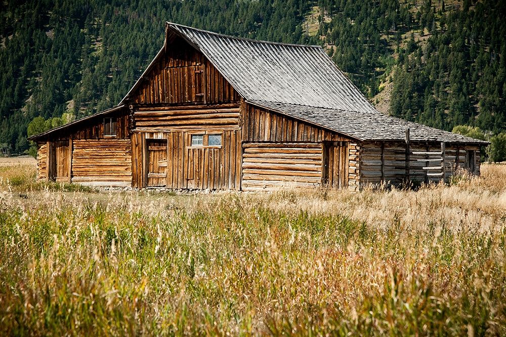 Teton Barn art print by Tim Oldford for $57.95 CAD