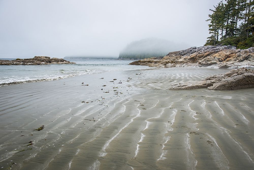 Tonquin Beach art print by Tim Oldford for $57.95 CAD