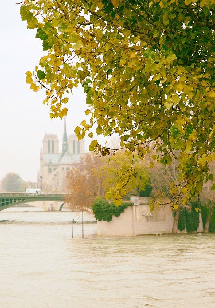 Notre Dame 2 art print by Carina Okula for $57.95 CAD