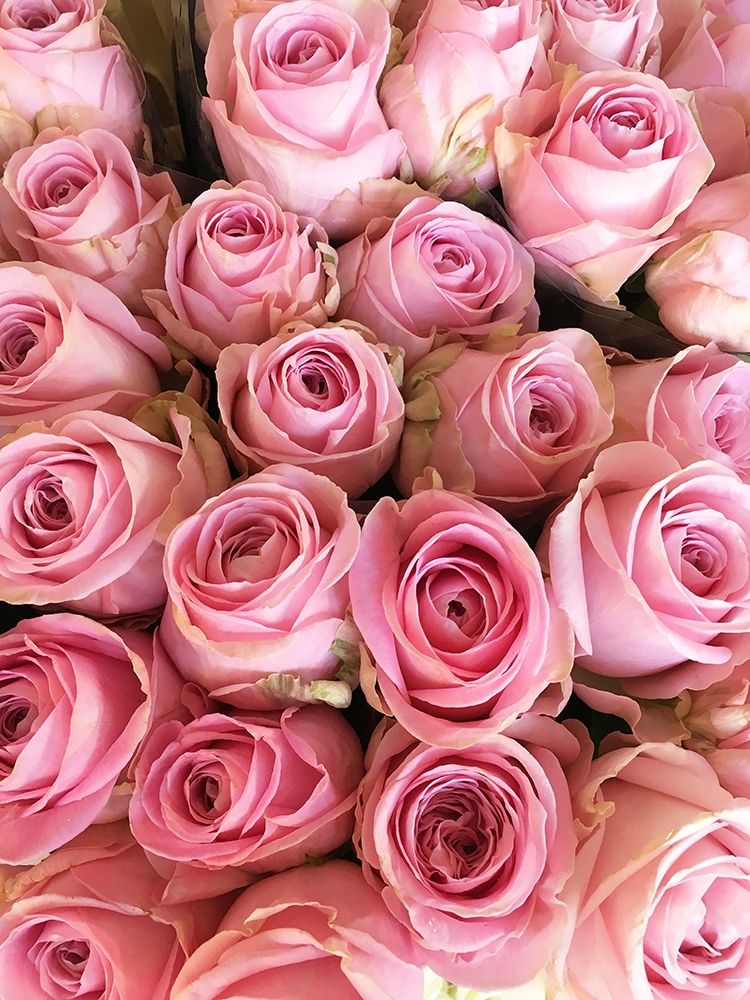 Paris Petals 3 art print by Carina Okula for $57.95 CAD