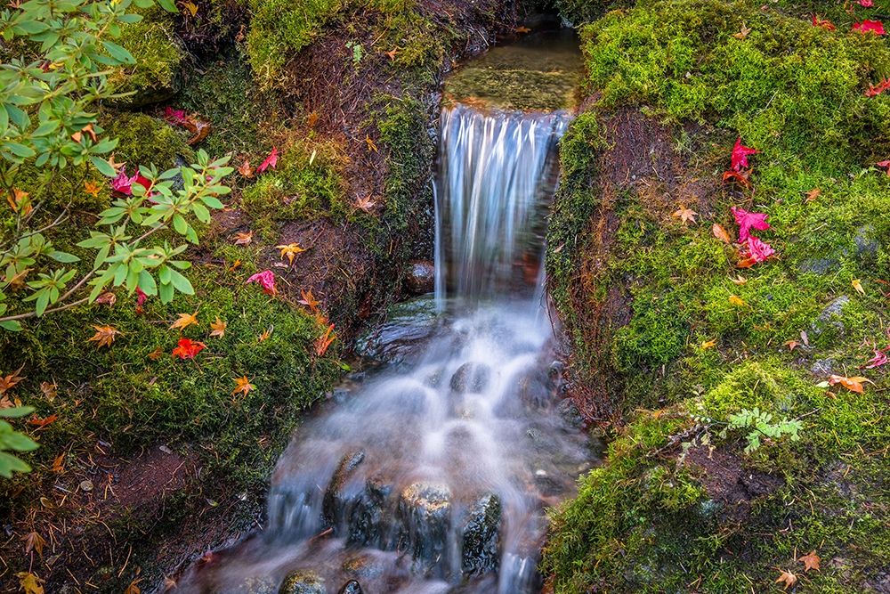 Tranquility Falls art print by Tim Oldford for $57.95 CAD