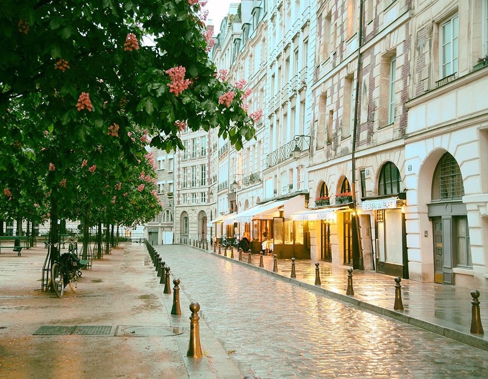 Paris in Chesnut Blossom Pink art print by Carina Okula for $57.95 CAD