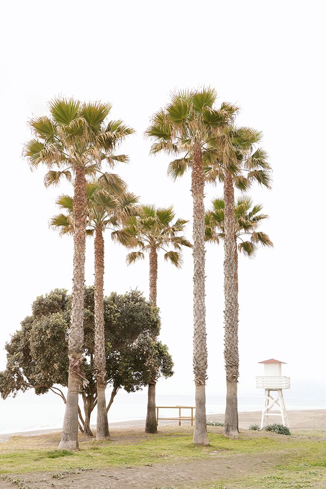 Mediterranean Mirage art print by Carina Okula for $57.95 CAD