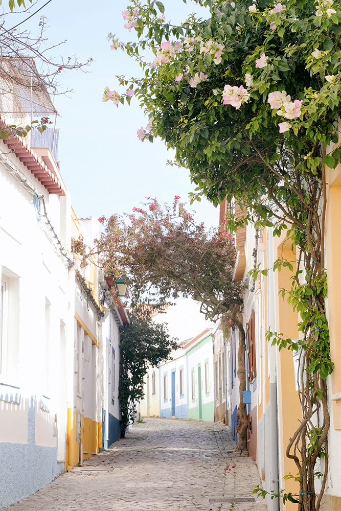 Portuguese Perfection art print by Carina Okula for $57.95 CAD