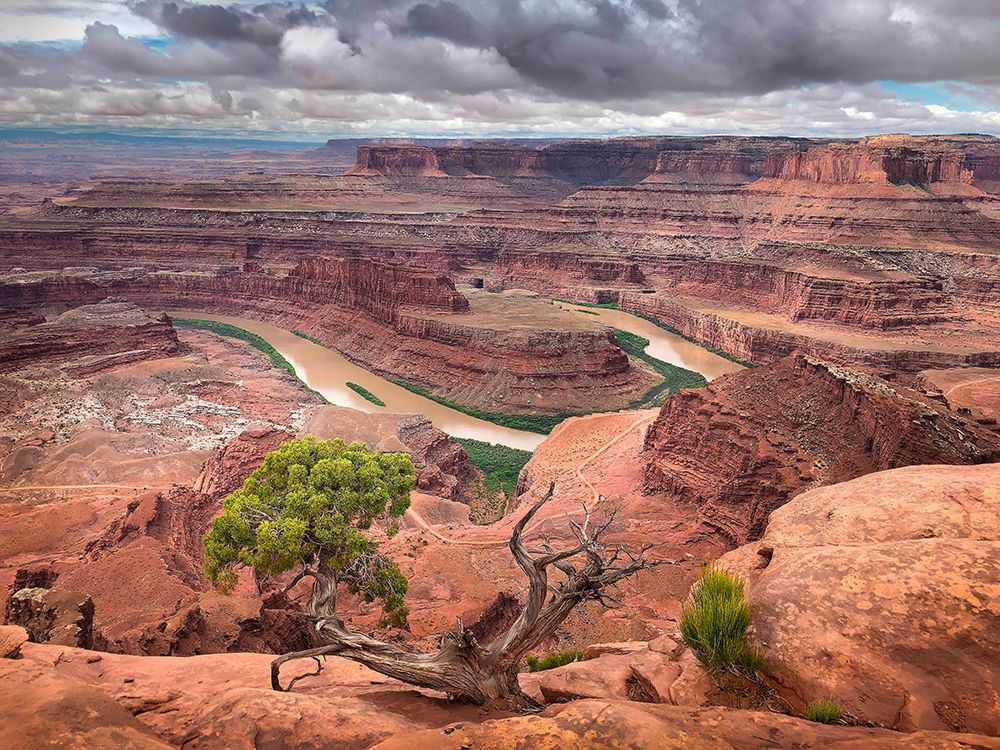 Dead Horse Point art print by Darrell OSullivan for $57.95 CAD