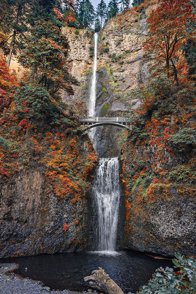 Multnomah Falls art print by Darrell OSullivan for $57.95 CAD