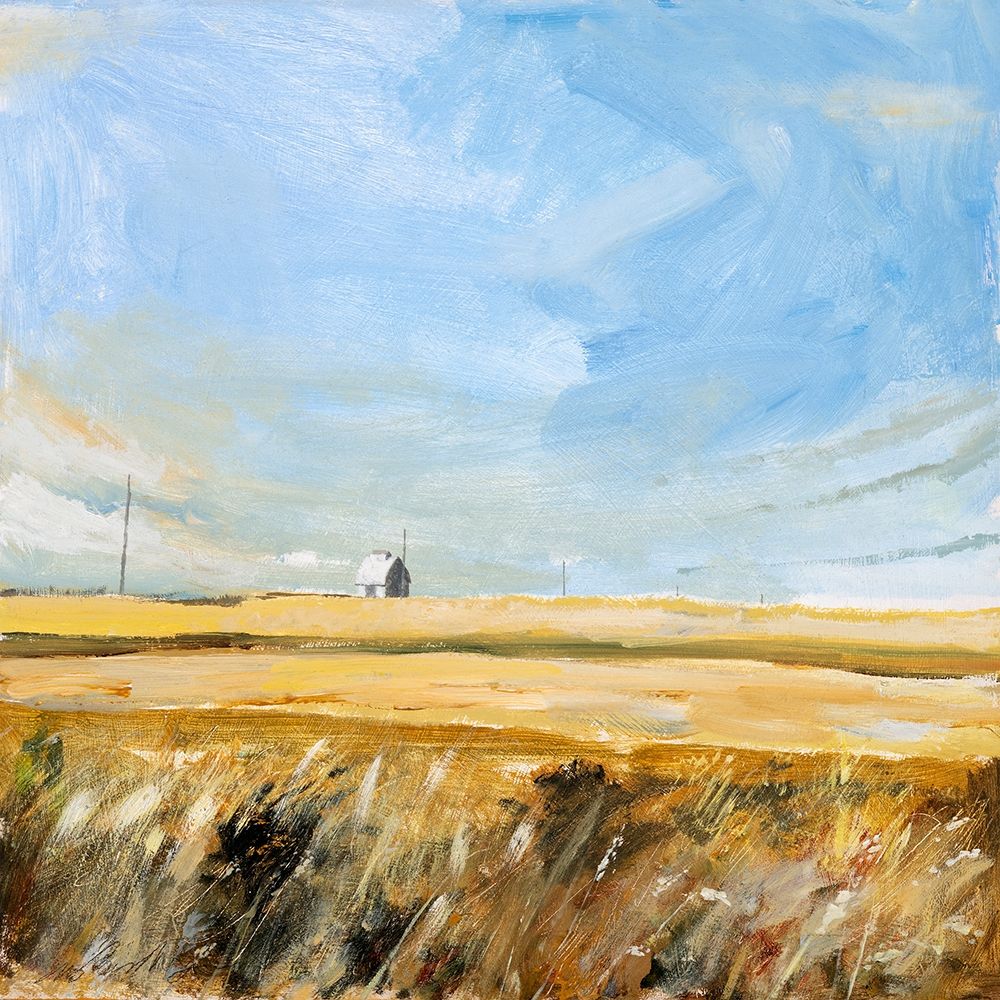 Country Sky art print by Michael Paraskevas for $57.95 CAD