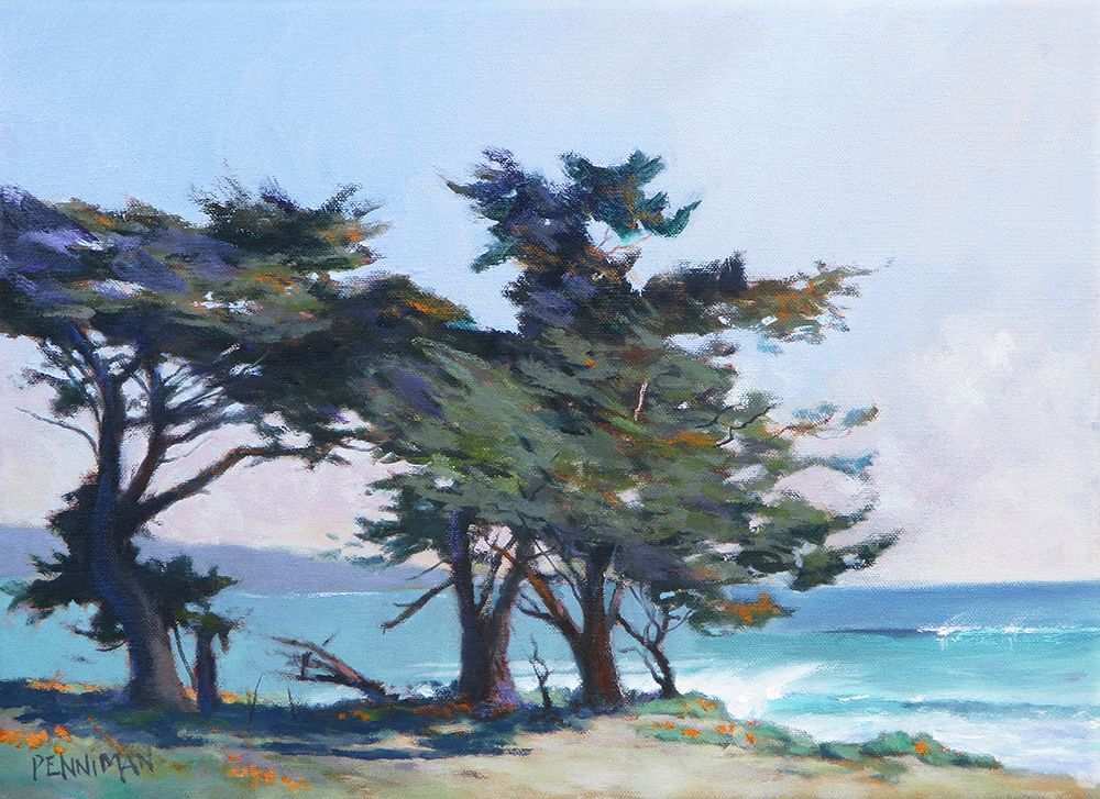 Lighthouse Field II art print by Ed Penniman for $57.95 CAD