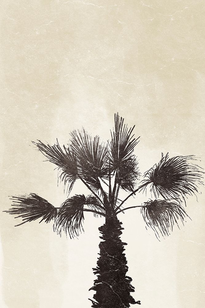 Palmera II art print by Yuyu Pont for $57.95 CAD