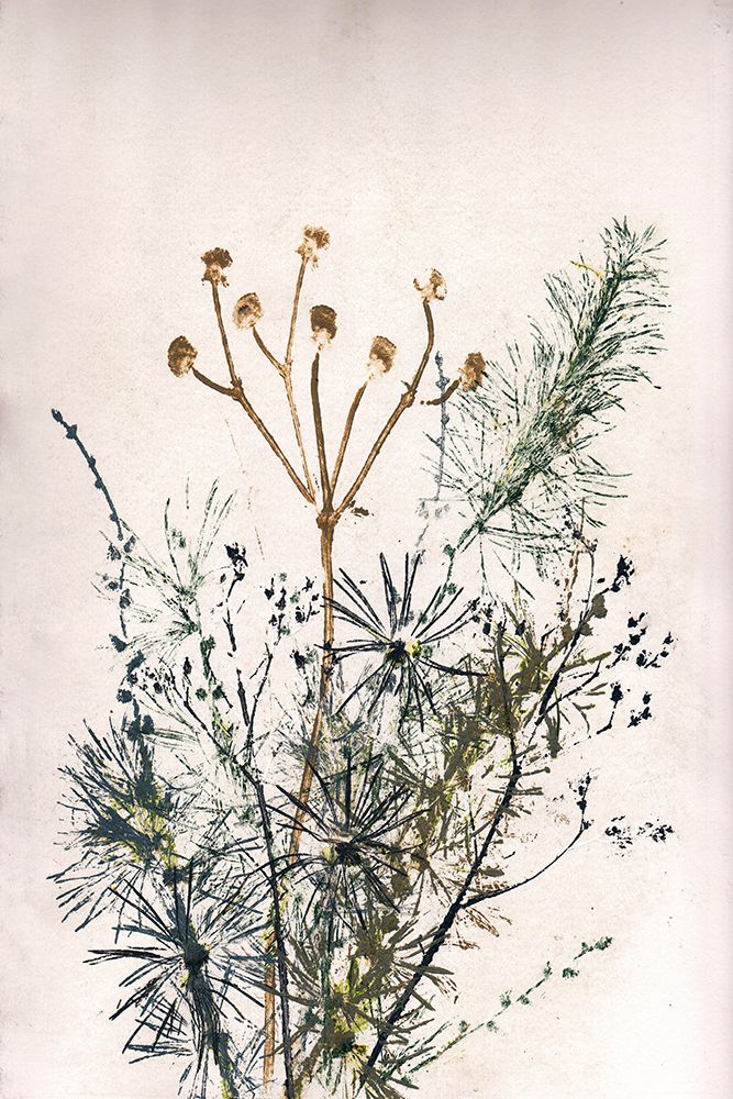 Bouquet 5 art print by Pernille Folcarelli for $57.95 CAD